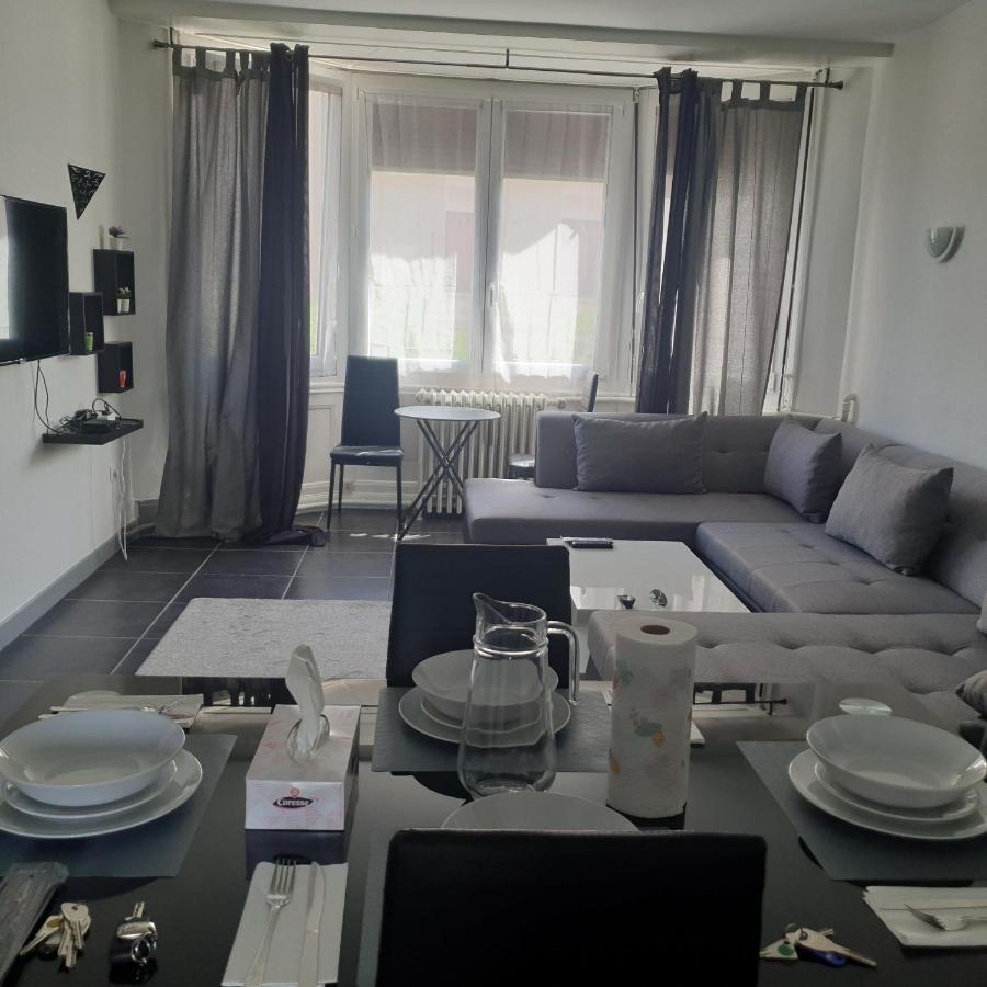 Appartement T2 Courte Duree Coup De Coeur Toute A 5 Minutes Сент-Этьен Экстерьер фото